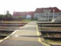DSC03300