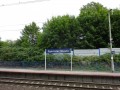 DSC01737