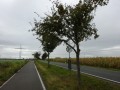 DSC01805