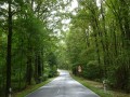 DSC01816