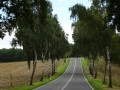 DSC01817