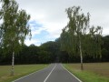 DSC01819