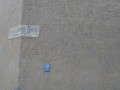 DSC01848