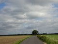 DSC01907