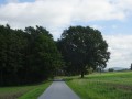 DSC01909