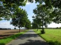 DSC01910