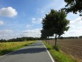 DSC01911