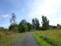 DSC01914