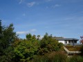 DSC01918