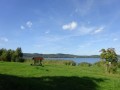 DSC01920