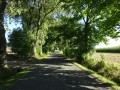 DSC01929