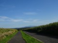 DSC01930