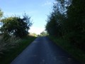 DSC01931