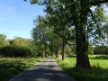 DSC01934