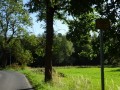 DSC01935