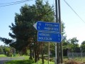 DSC01937