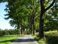 DSC01940