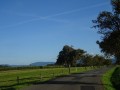 DSC01942