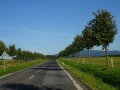 DSC01947