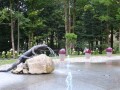 DSC01951