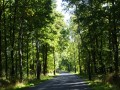 DSC01960