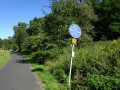DSC01963