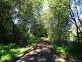 DSC01964