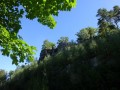 DSC01966