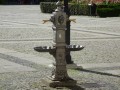 DSC01975