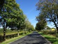 DSC01977