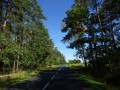 DSC01979