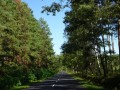 DSC01981