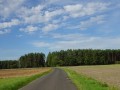 DSC01986