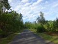 DSC01987