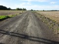 DSC01989