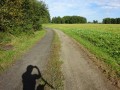 DSC01990