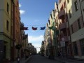 DSC01998