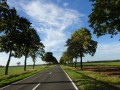 DSC01999