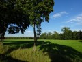 DSC02001