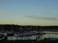 DSC02009