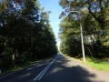 DSC02028