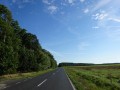 DSC02031