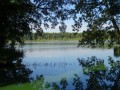 DSC02043