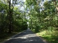 DSC02099