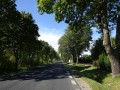 DSC02101