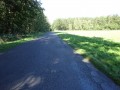 DSC02106