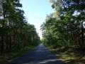 DSC02108