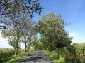 DSC02110