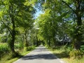 DSC02118