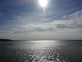 DSC02124